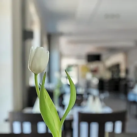 Beisenbusch & Restaurant
