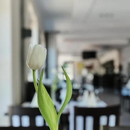 Beisenbusch & Restaurant Bottrop