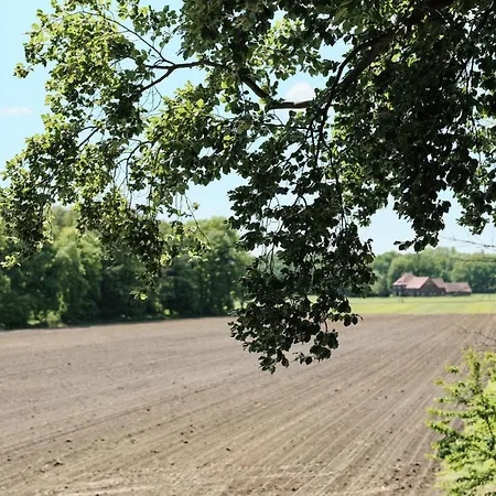 Beisenbusch & Restaurant Otel 2*