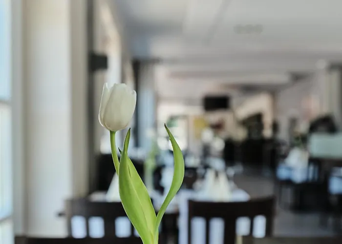 Beisenbusch Hotel&restaurant Bottrop